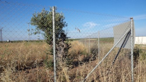 PARCELA RUSTICA A 15 EUROS EL METRO 