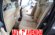 BMW 520 D TURBO DIESEL DE 177 CV  CON 6V.