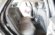 AUDI A6 2.0 TDI DE 177 CV Y CAJA DE CAMBIOS AUT