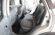 NISSAN QASHQAI DCI TEKNA SPORT DE 106 CV