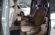 KIA CARNIVAL 2900 CC TURBO DIESEL