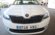 SKODA RAPID 1600 TDI CON 105 CV 5 PUERTAS