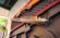 ESCOPETA WINGCHESTER DE TRAP CON POLICHOK TRAP SELECT CON 5 POLICHOK