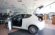 ALFA ROMEO MITO 1600 JTD DISTINCTIVE