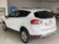 FORD KUGA TDCI TODO CAMINO DE 2000 CC T/DIESEL Y 140 CV