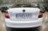 SKODA RAPID 1600 TDI DE 115 CV
