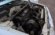 RENAULT R 19 1800 CC GASOLINA CON 5 PLAZAS