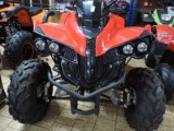 QUADS DINLY BASSA DE 125 CC LEON 2022