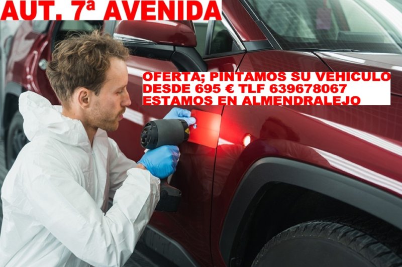 A PINTAMOS SU VEHICULO MUCHA VARIEDAD PINTAMOS SU COCHE DESDE 695 &euro;