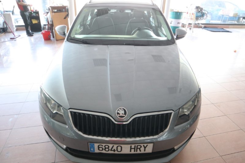 SKODA OCTAVIA ACTIVIA 1600 TDI CON 105 CV