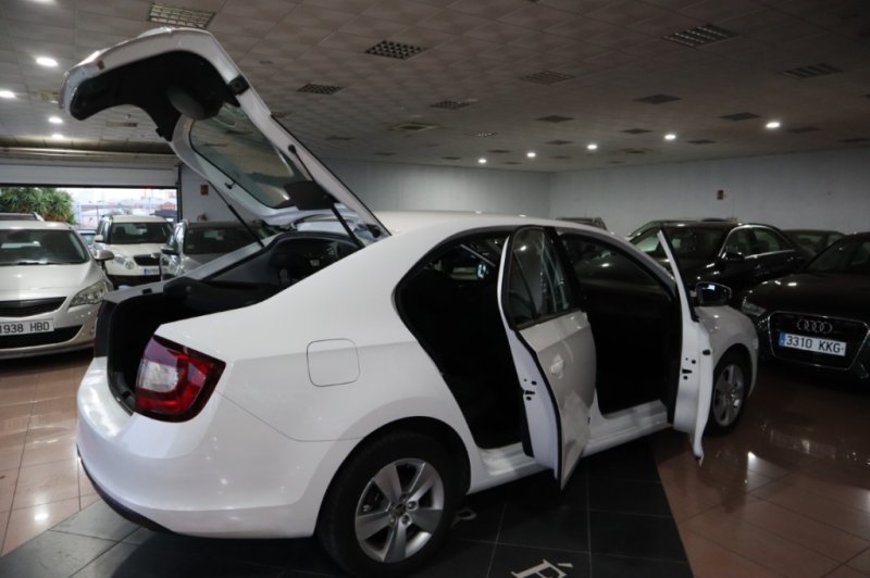 SKODA RAPID 1600 TDI DE 115 CV