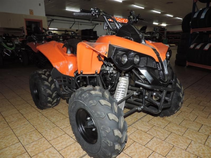 QUADS DINLY BASSA DE 125 CC LEON