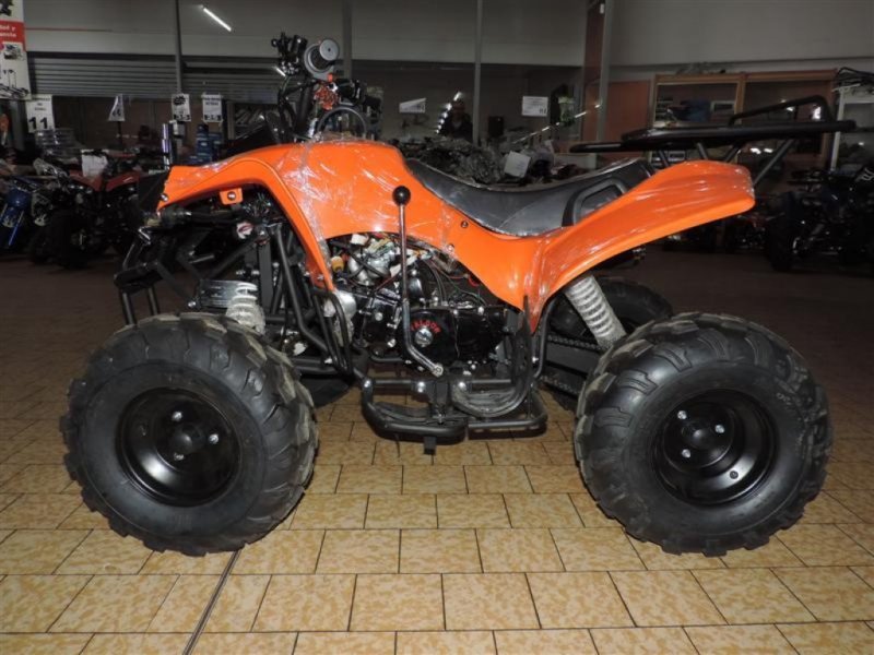 QUADS DINLY BASSA DE 125 CC LEON