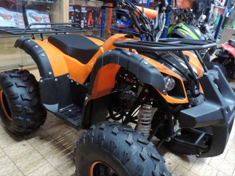 QUADS DINLY BASSA DE 125 CC LEON