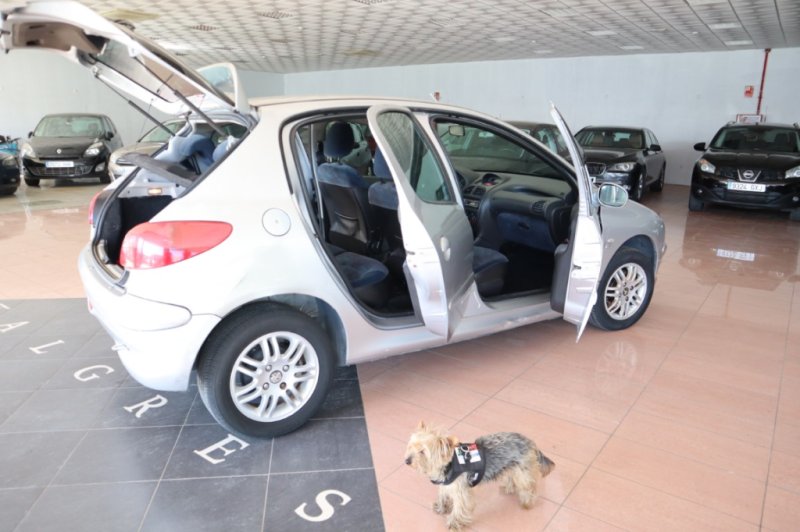 PEUGEOT 206 2.0 HDI