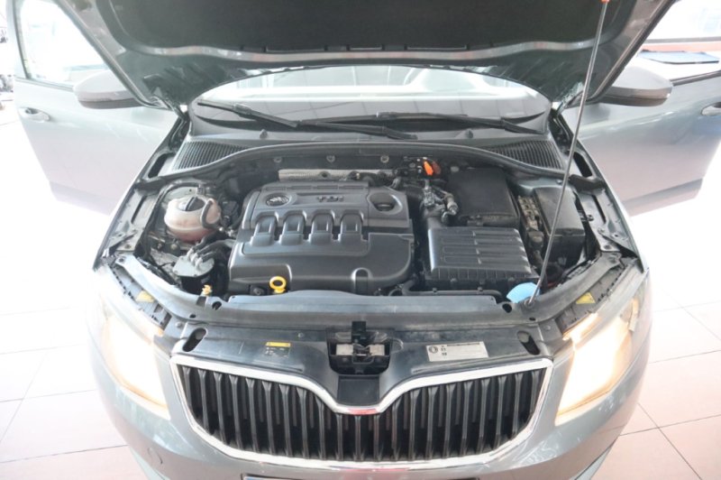 SKODA OCTAVIA ACTIVIA 1600 TDI CON 105 CV