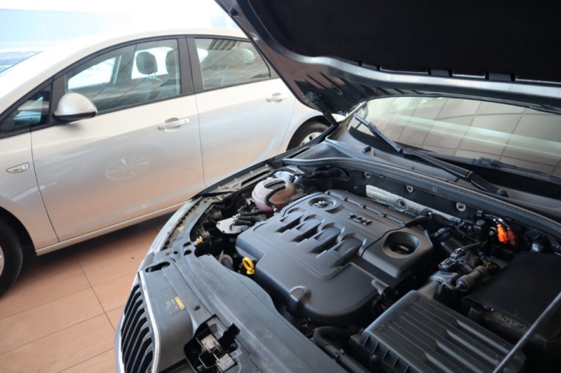 SKODA OCTAVIA ACTIVIA 1600 TDI CON 105 CV