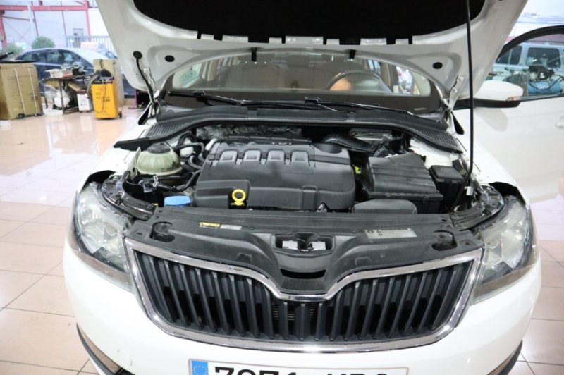 SKODA RAPID 1600 TDI DE 115 CV