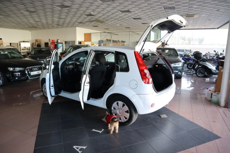 FORD FIESTA 1600 TDCI