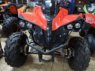 QUADS DINLY BASSA DE 125 CC LEON